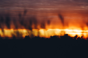 Abstract sunset background in red and yellow warm sunlight. Defocused silhouettes of plants on the field against the setting sun. Summer nature abstract background.