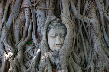 Wat Mahathat, Ayutthaya, Thailand : Buddhist temple in the Ayutthaya Historical Park