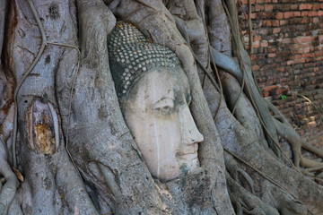 Wat Mahathat, Ayutthaya, Thailand : Buddhist temple in the Ayutthaya Historical Park