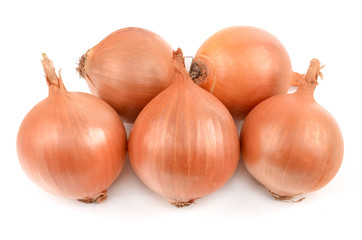Onions on a white background