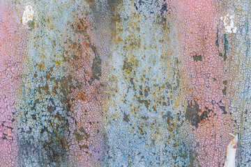 Metal rusty painted cyan and pink grunge texture background. Copy space.
