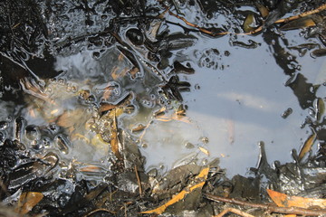 Poisonous muddy dirty water background texture pattern. Full frame.