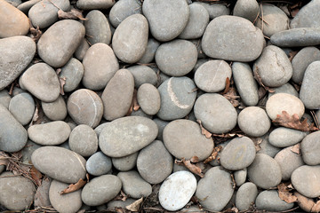 Background from large pebbles. Beauty in nature.