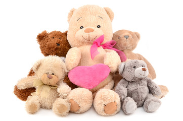 Fototapeta premium Teddy bears on white background