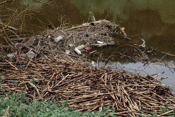 garbage plastic river Ukraine nature bottle dirt water trash waste