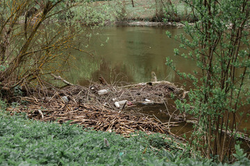 garbage plastic river Ukraine nature bottle dirt water trash waste