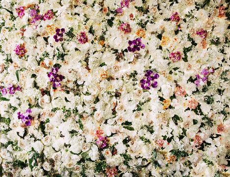 Flowers wall background for wedding with roses, orchids, hydrangeas and peonies. © SL photo