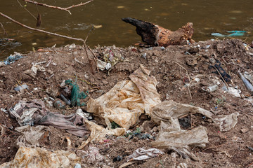 garbage plastic river Ukraine nature bottle dirt water trash waste