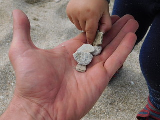  parent and child on the beach. hands macro