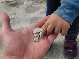  parent and child on the beach. hands macro