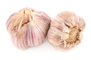 garlic on a white background