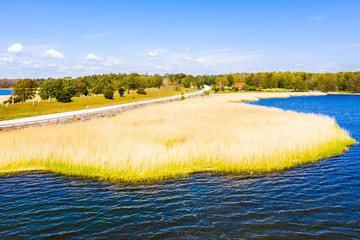 Fototapeta premium Yellow reed bed beside road in spring. Ancient grave field in the background. Hjortahammar in Blekinge, Sweden.