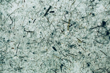 Green an blue abstract texture and background. Natural and organic background for design.  
