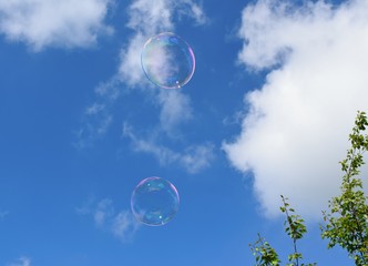 A soap bubbles on nature