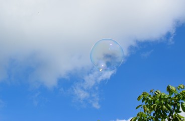 A soap bubbles on nature