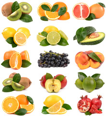 fruit collection