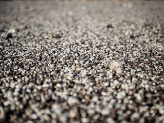 Pebbles gravel background
