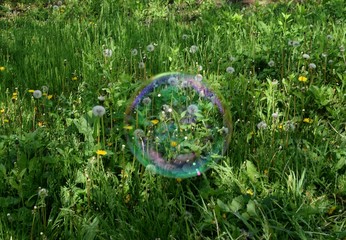 A soap bubbles on nature