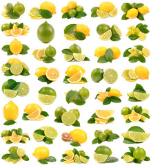 lime and lemon on white background