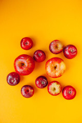 Red apples in row  circle isolated on yellow background and space for word
