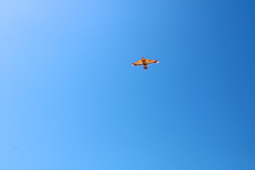 Fototapeta na wymiar A bird shaped kite on the sky 