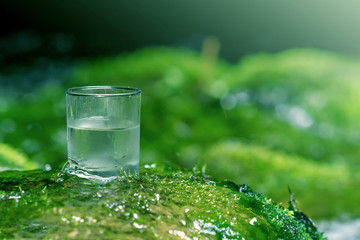 The glass of cool fresh water on natural green background