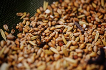 Bird seed in feeder