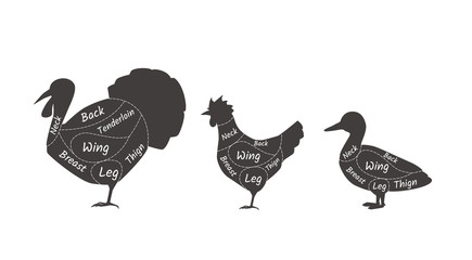 Butcher shop turkey, duck, chicken. Agricultural meat farmers market.