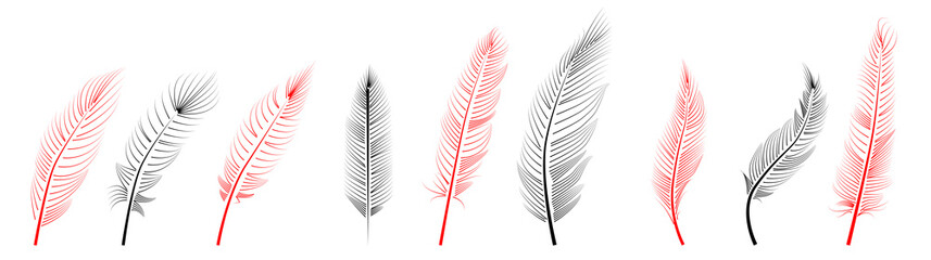 Collection of feather illustration, drawing, engraving, ink line art