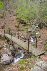 Passerelle pont en bois au dessus d'un ruisseau
