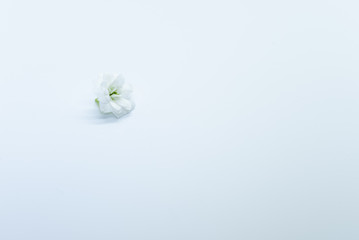 Minimalismus