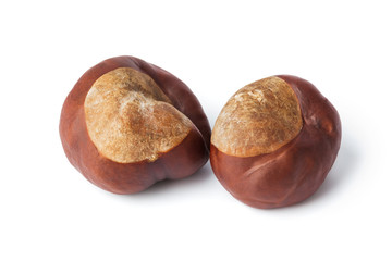 Ripe chestnuts