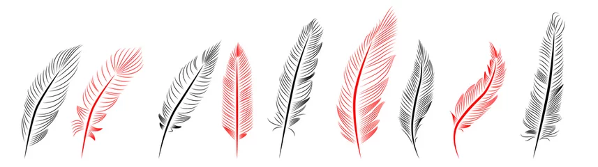 Tableaux sur verre Plumes Collection of feather illustration, drawing, engraving, ink line art