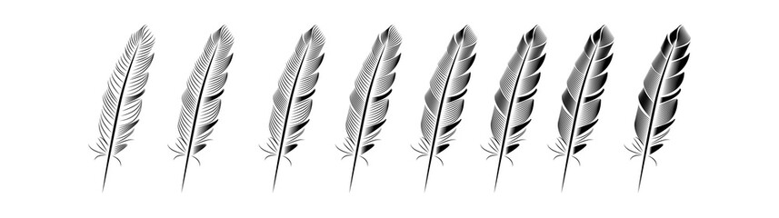 Fototapeta premium Collection of feather illustration, drawing, engraving, ink line art
