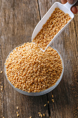 indian wheat grain ,  Wheat grain in bowl