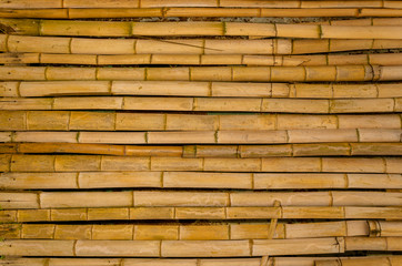 bamboo stems. horizontal line
