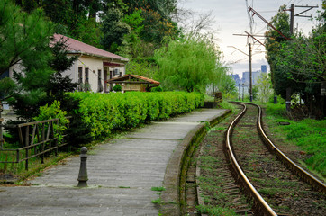 Fototapeta na wymiar railway station in Batumi. picturesque railway through the forest of the Botanical garden