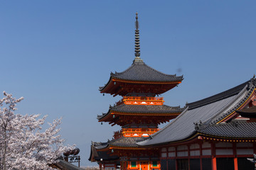 Kiyomizu-dera temple and the flowers of the cherry blossoms in Kyoto