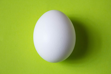 chicken egg on green background with copyspace