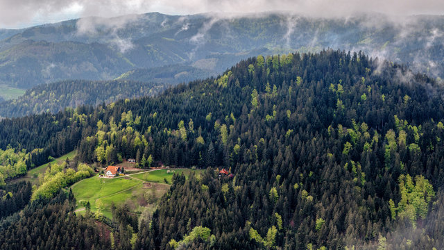 Bergparadies Schwarzwald