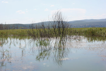 Lake of Doirani Kilkis Greece Europe