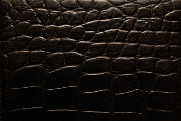 close up of reptile skin texture use for background