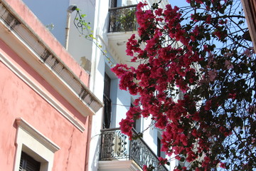 Old San Juan