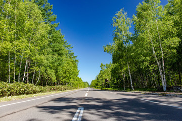 美瑛の美しい風景