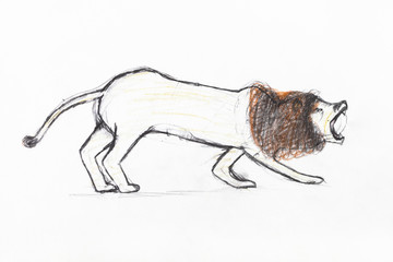 Obraz premium roaring lion with brown mane by pencils