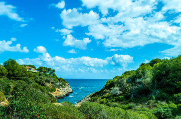 Fototapeta na wymiar Palma de Mallorca beautiful landscape