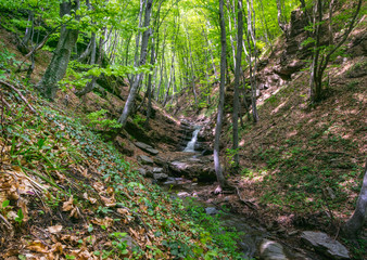 Fototapeta premium Beautiful waterfall deep in the forest.