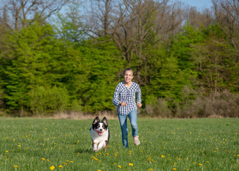 Naklejka na ściany i meble Cute child - happy teen girl playing with young Australian Shepherd dog, outdoors. Girl run with happy dog on spring field. Beautiful Aussie enjoy on meadow with green grass and flowers.