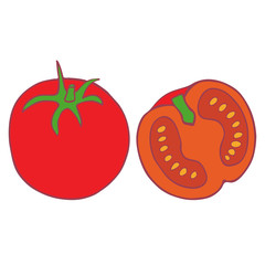 Isolated vector flat tomato