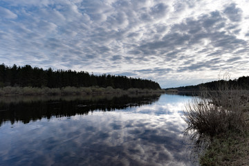 reflection of a tree in a lake